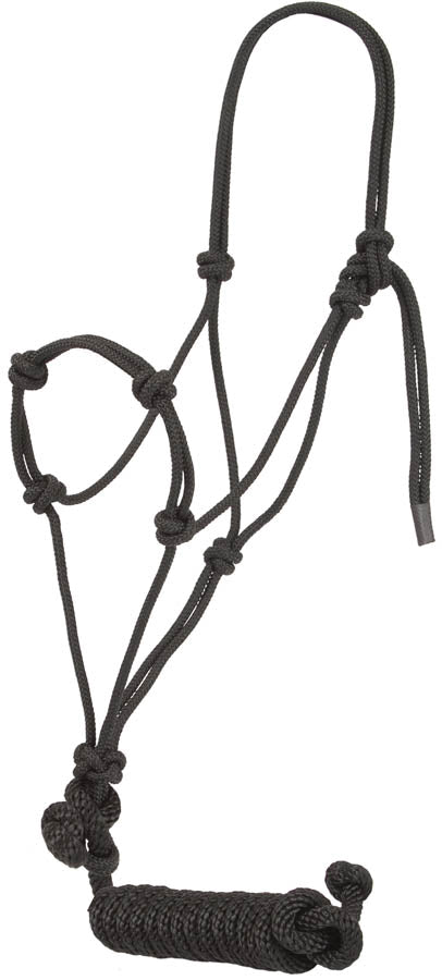 Knotted Rope Training Halter + Lead